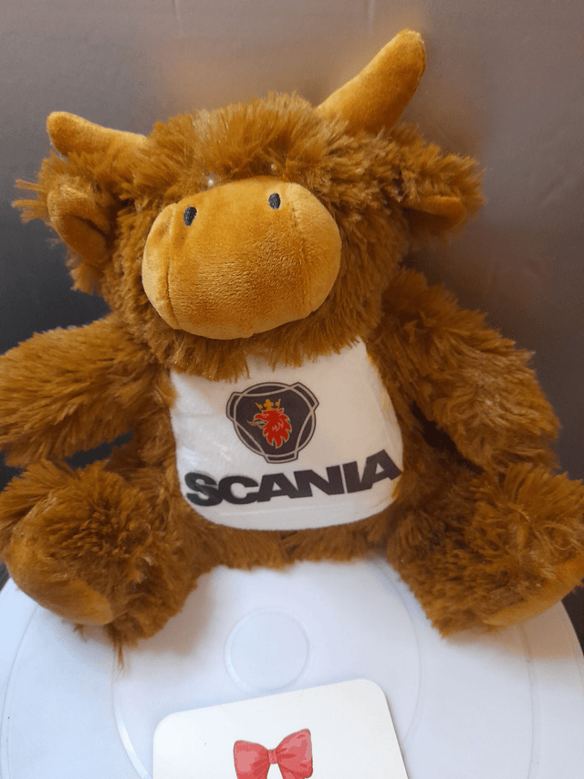 Personlised HIghland Cow Plush bear 
