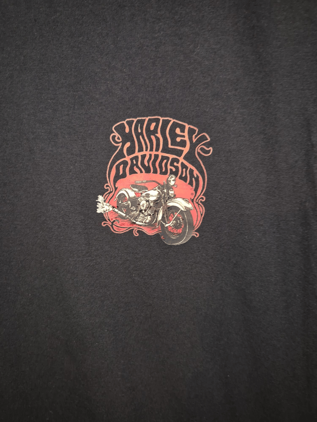 Harley Davidson themed t shirts 